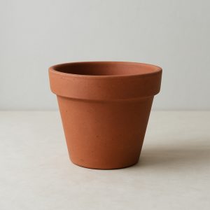 Maceta de arcilla de 15 cm